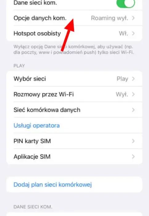 Jak włączyć roaming na iPhone 11 i uniknąć wysokich opłat za granicą