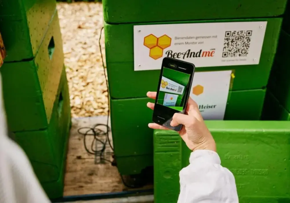 Jak zeskanować kod QR telefonem - Poradnik bez aplikacji