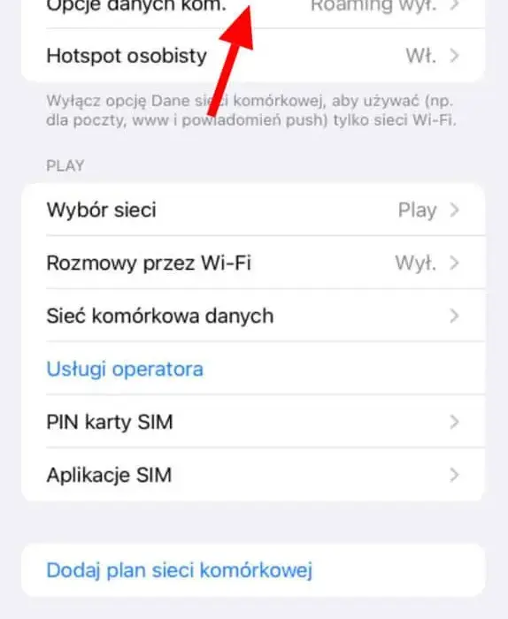 Jak włączyć roaming w Play i uniknąć wysokich kosztów za granicą – poradnik krok po kroku