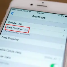 Ustawienia telefonu, gdzie sprawdzisz, jak włączyć roaming danych. Widoczna opcja "Data Roaming".