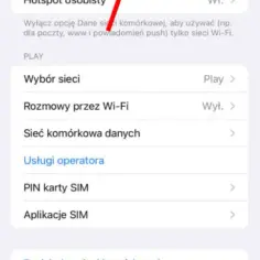 Jak włączyć roaming na iPhone 11 i uniknąć wysokich opłat za granicą