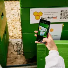 Ręka trzyma smartfon, by zeskanować kod QR na zielonym ulu. Aplikacja BeeAndMe pokazuje podgląd.