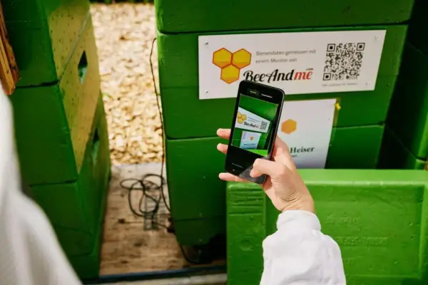 Jak zeskanować kod QR telefonem - Poradnik bez aplikacji