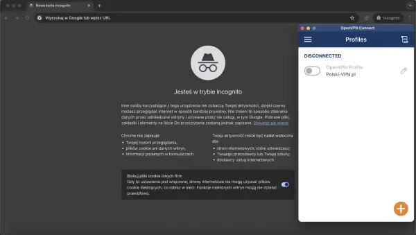 Tryb incognito - Co ukrywa, a czego nie? Sprawdź!